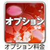 オプション